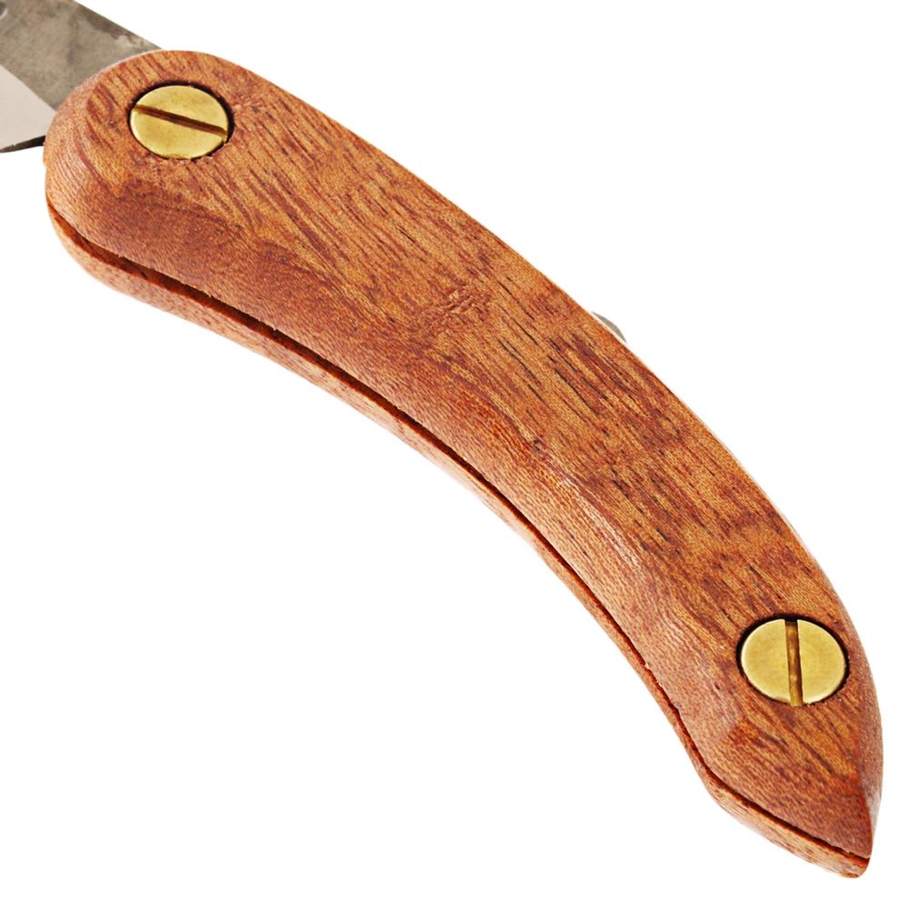 Svord Mini Peasant Knife With Mahogany Handle 2.5in - Image 3
