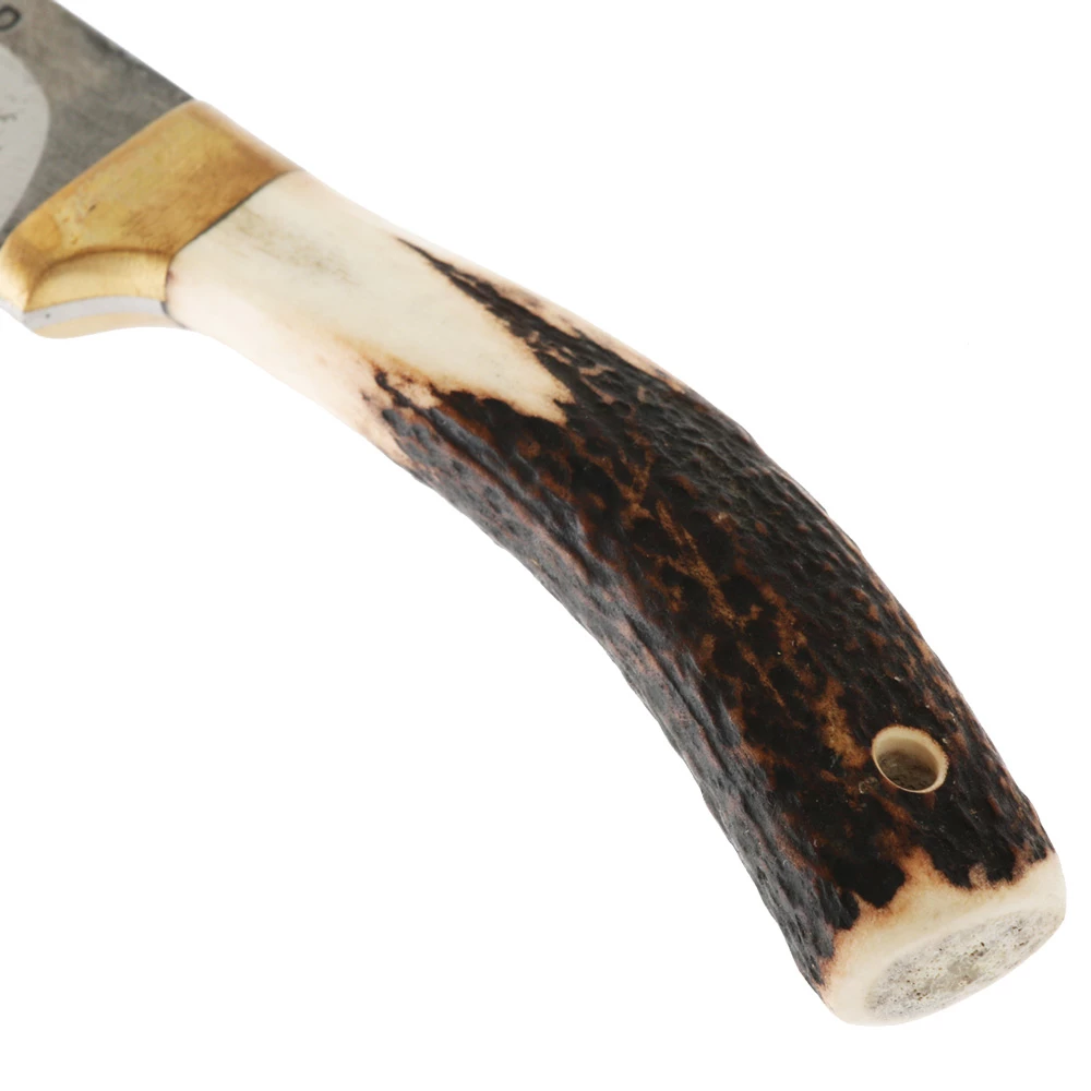 Svord Bird And Trout Knife With NZ Stag Handle 3.5in - Image 5