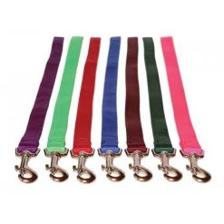 Taurus Leather Company Taurus Nylon Lead 19mm X 105cm